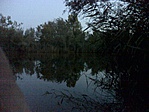 DSC06295