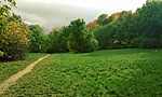 WP_20161026_12_20_27_Pro(1)