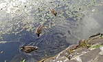 20161015_160258