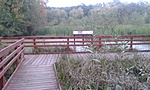 20161015_162408