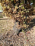 IMG_20161031_114442