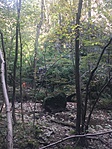IMG_4418