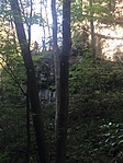 IMG_4421