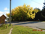 DSC02860