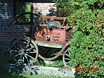 DSC02862