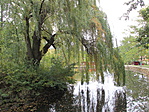 IMG_8456