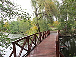 IMG_8445