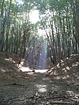 20161001_151053