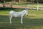 DSC04648