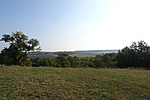 DSC04655