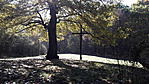 20161022_112340
