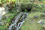 IMG_4911