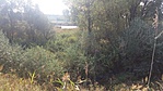 20161001_112147