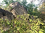20161001_155615