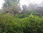20161001_154527