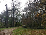 20161029_133018