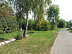 DSCF5329