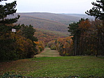 Sípálya