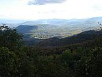 DSC03752
