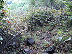 DSC03753
