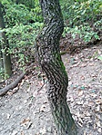 20161001_165750