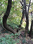 20161001_170127