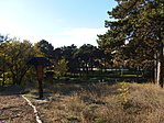 PA310381