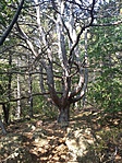 20161001_113454