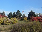 P1550169