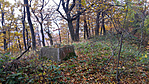 20161101_111806_1024