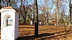 20161109_105920