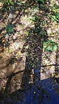2016-10-09 10.35.38R