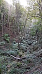 2016-10-09 17.17.34R