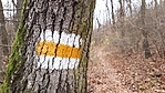 2016-11-19 13.02.51R