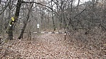 2016-11-19 13.36.26R