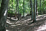 P1150954R