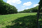 P1150953R