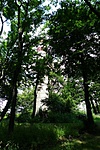 P1150956R