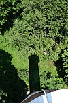 P1150961R