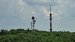 P1150966R