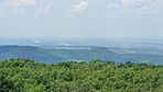 P1150963R