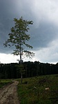 2014-07-26 14.44.27R