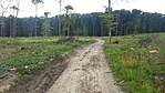 2014-07-26 14.44.32R