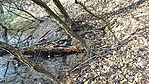 20161110_131142