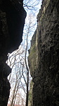 8_resize