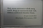 SAM_2294