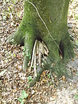 Hódos-éri Likas-kő 005