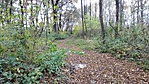 IMG_20161030_142914