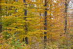 _DSC5801