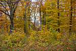 _DSC5795